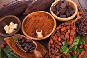 cocoa chocolate cocoa chocolate